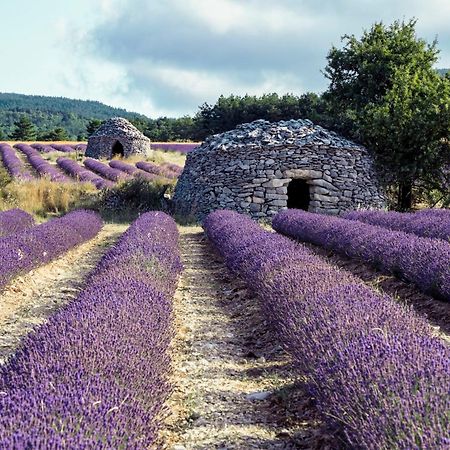 Le Cabanon Des Lavandes Entre Mont Ventoux Et Luberon Sault-de-Vaucluse Luaran gambar